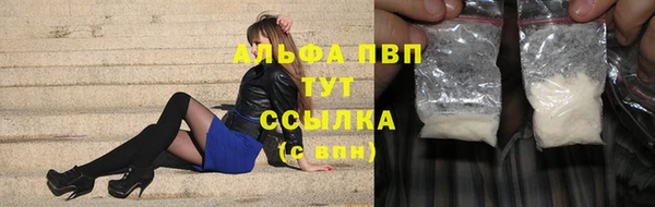 тгк Нея