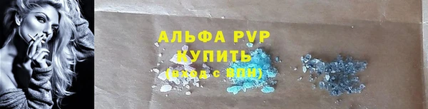 тгк Нея