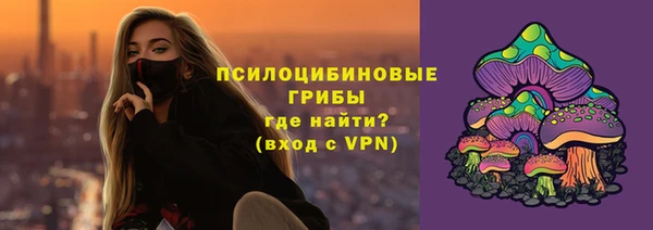 гидра Новодвинск