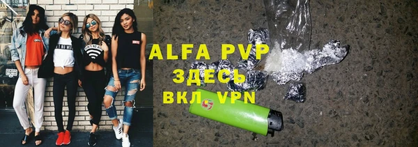 гидра Новодвинск