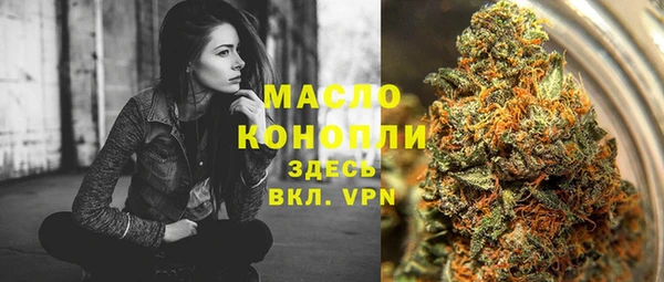 гидра Новодвинск
