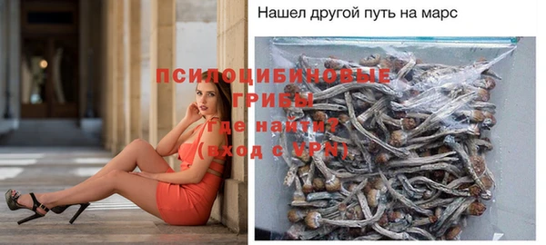 тгк Нея