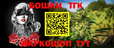 индика Донецк