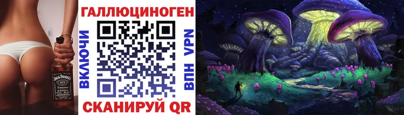дарк нет наркотические препараты Ирбит Псилоцибиновые грибы MAGIC MUSHROOMS