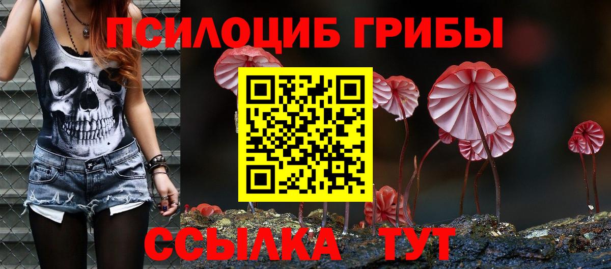 Галлюциногенные грибы мицелий  где можно купить наркотик  Ирбит  Вход с VPN 