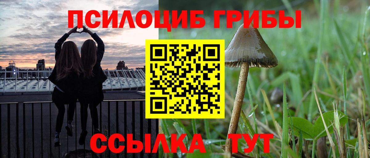 Псилоцибиновые грибы Psilocybe  Ирбит 